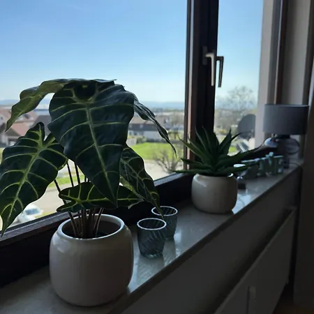 Emelies Sonnenwohnung Mit Balkon * Efringen-Kirchen