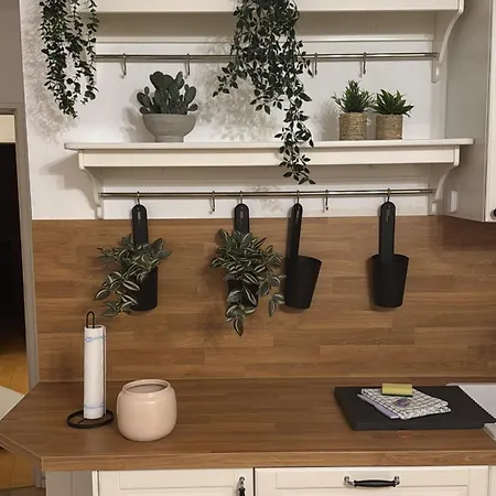 Emelies Sonnenwohnung Mit Balkon Efringen-Kirchen